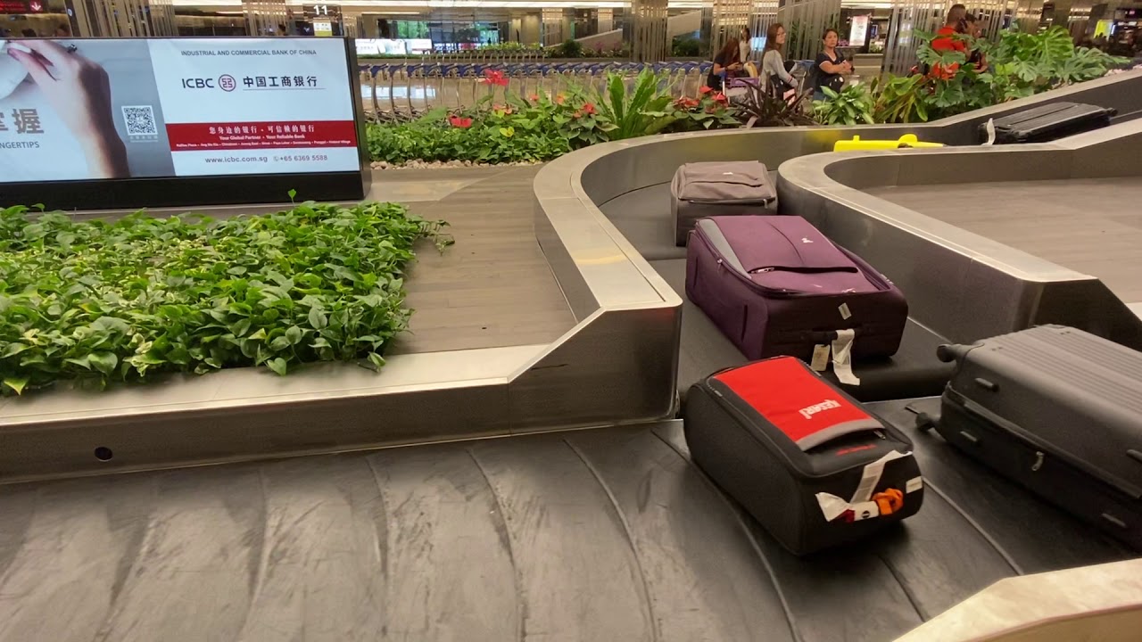 Changi Airport Delayed Baggage