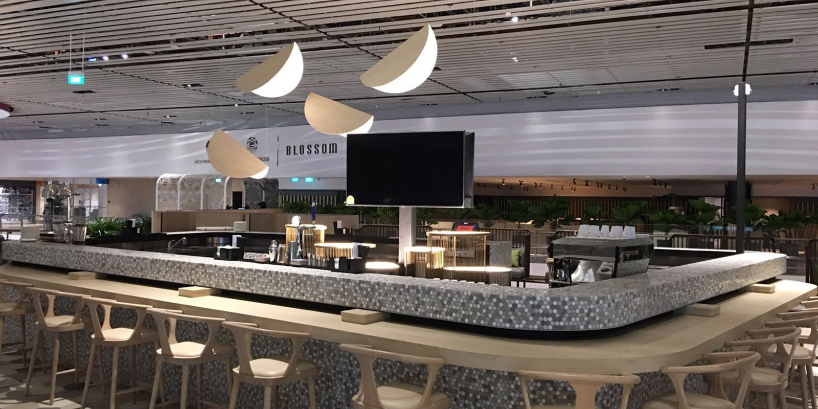Changi Airport Business Lounge